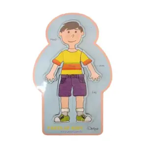 جورچین چوبی اعضای بدن